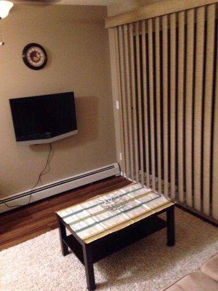 Furnished one bedroom aprt for rent in applewood @ 17ave SE