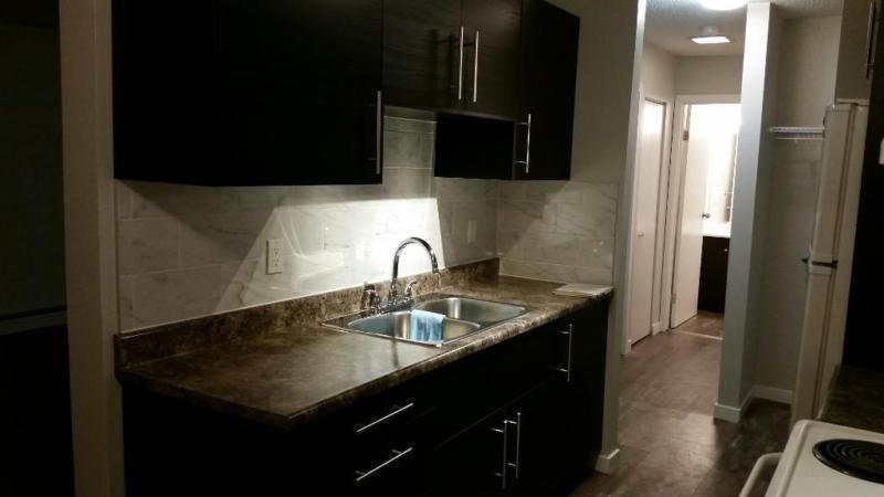 !!! Newly Renovated 1 Bedroom Apartment Downtown !!!