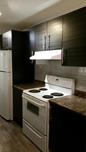 !!! Newly Renovated 1 Bedroom Apartment Downtown !!!