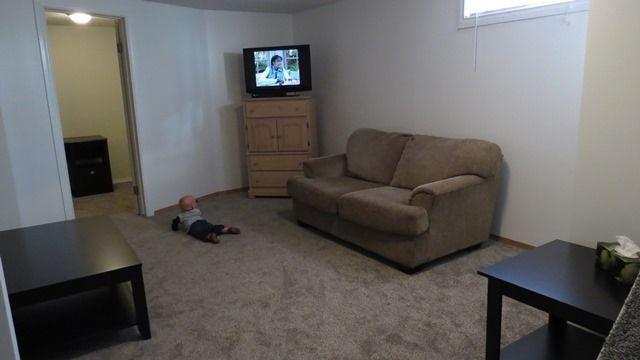 Spacious basement suite for rent