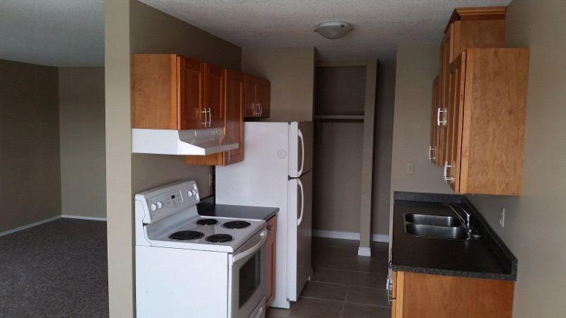 2-bed renovated w balcony-Avail Mar/April 1st - 144 Ave