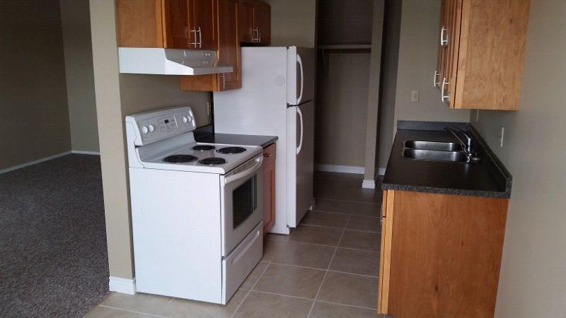 2-bed renovated w balcony-Avail Mar/April 1st - 144 Ave