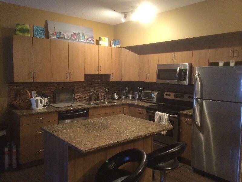 MAXX CONDO - Downtown Oliver Square (Furnished 2bed/2bath)