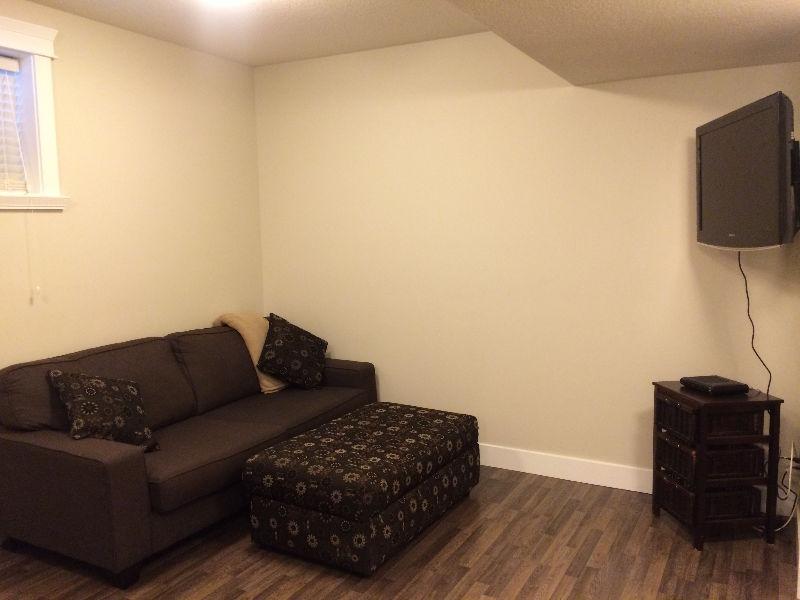 Pet Friendly New 2 bedroom Full Furnished All Utilities Included