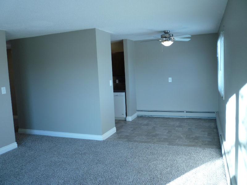 Completely Renovated Suite in Adult Bldg, March 15th