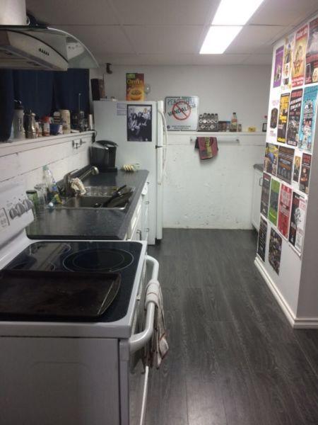 Furnished 3 bedroom basement apartment downtown!