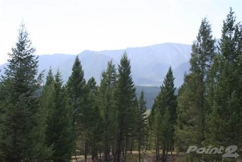 2631 Taynton Trail