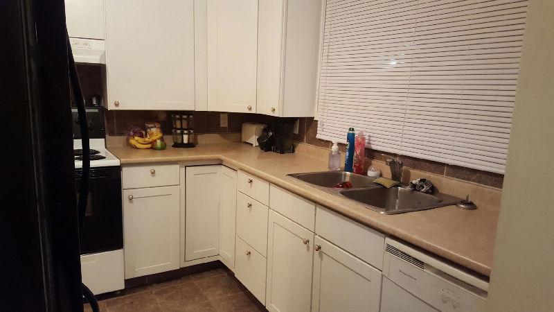 PET FRIENDLY town house in mill woods
