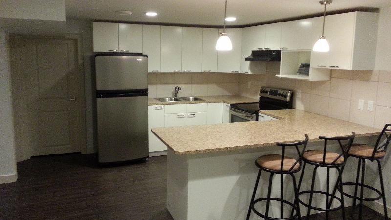 Renovated Legal 2BR Basement Suite South of Whyte off 99th St