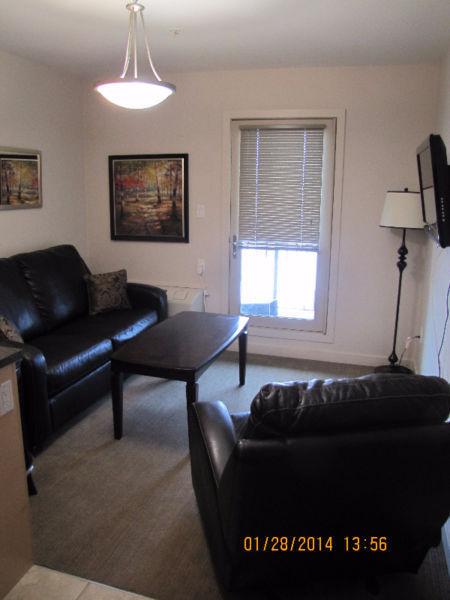 Call this fully furnished 1 bedroom, 1 bathroom condo home!