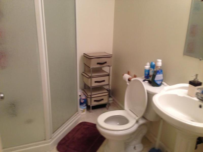 10746 73 Ave B (DN) 2 BEDROOM 1 BATHROOM BASEMENT AVAIL NOW