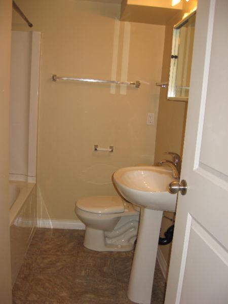 1 bedroom renovated BSMT SUITE