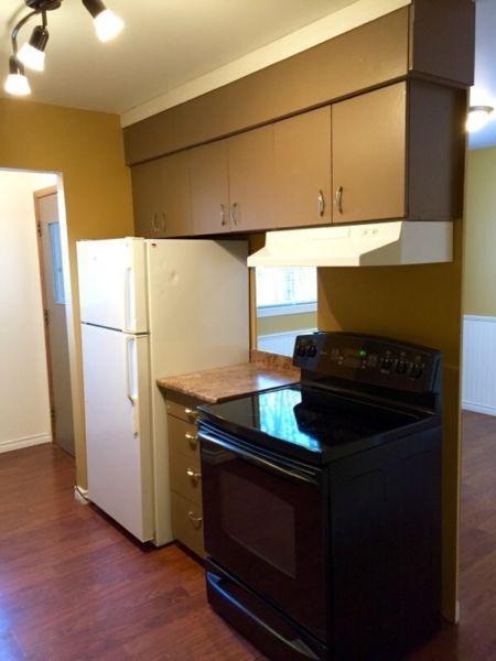 NEWLY RENOVATED 3 BDRM - WINFIELD AB