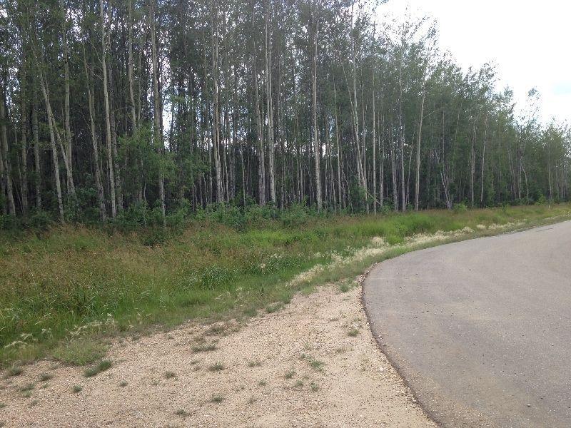 Land For Sale in Joussard, Ab