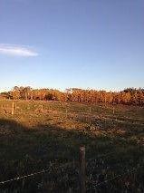 Acreage for Sale