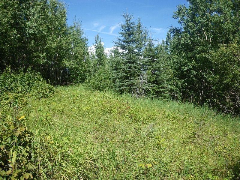 TREED ACREAGE NEAR GULL LAKE