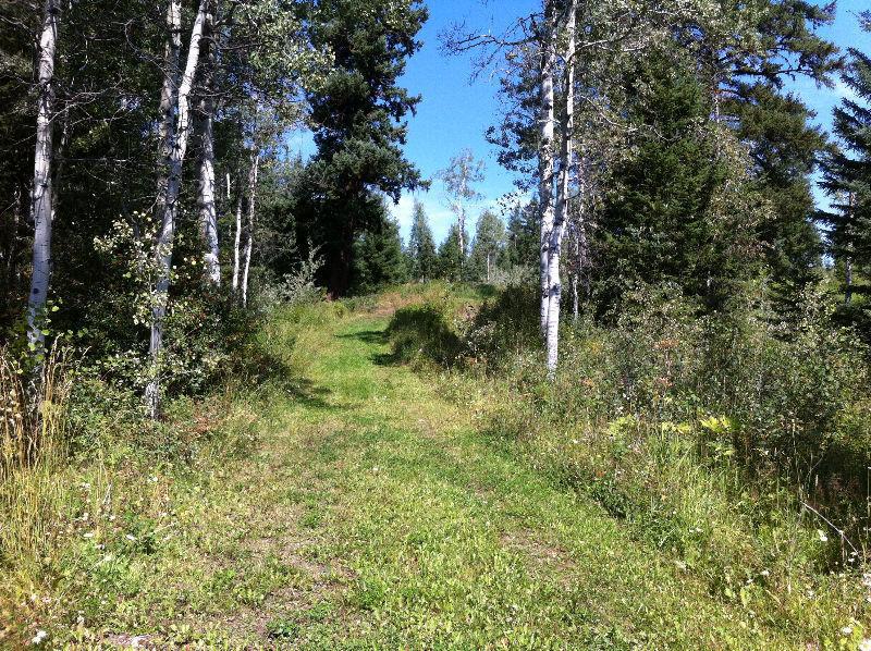 19+ Acres at Big Lake