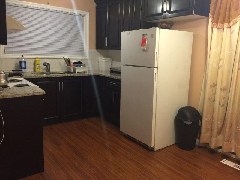 Female roommate Required