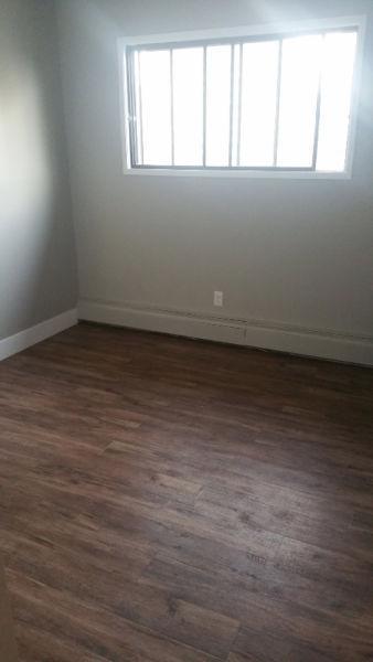 Looking for Female Roommate in Downtown  All Included