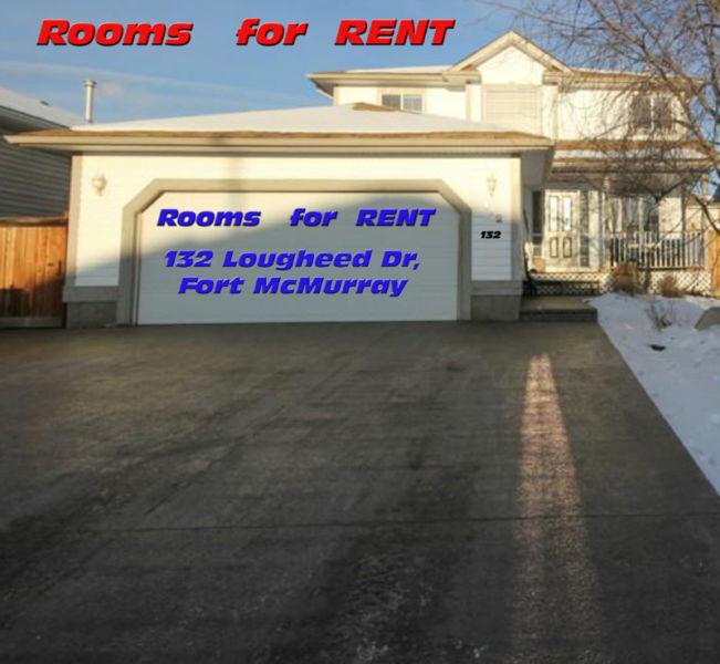 550$ ~ Large Room for Rent + Separate entrance, next to BUS STOP