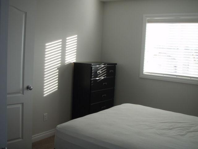 Executive Large Upstairs Furnished Bedroom with Backyard Parking