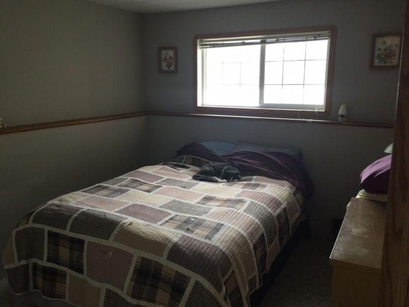Large bedroom in basement queen size bed