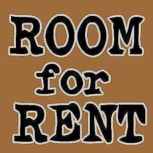 Looking for a roommate in Deerpark-$450 All Included*TEXT NITESH