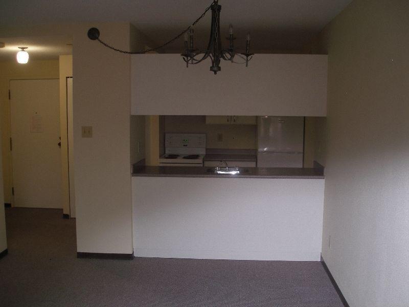 Downtown 343 Nicola St