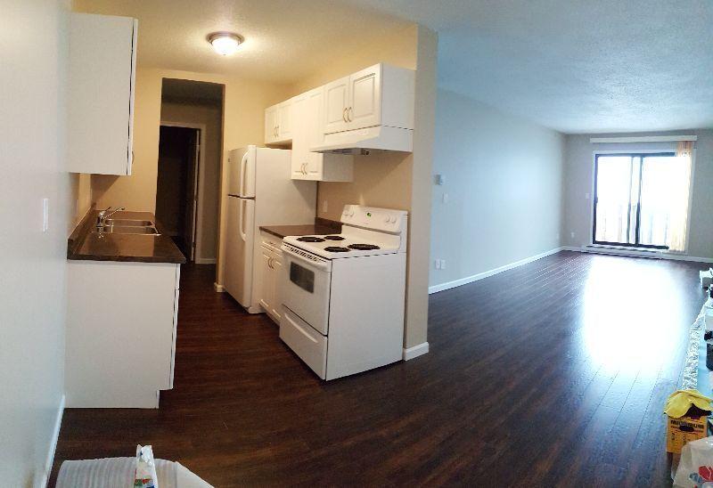 One bedroom BRAND NEWLY RENOVATED sparkling!!