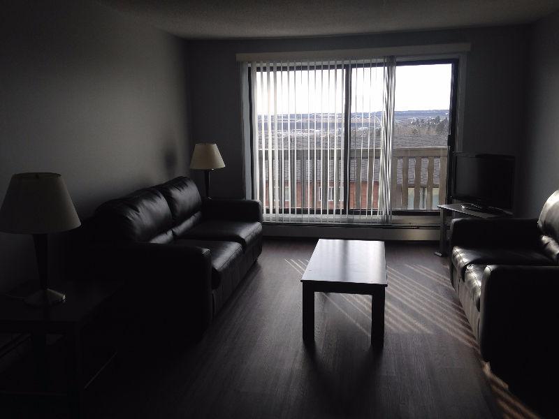2-Bedroom Fully Furnished Apartment Available April 1st