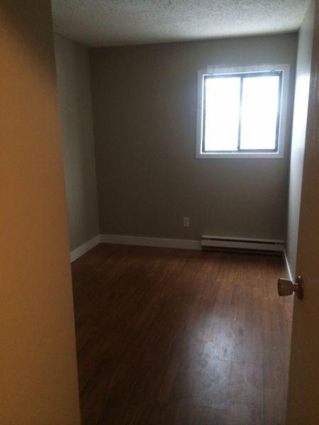 Newly Renovated 2 Bdrm Apartment for Rent