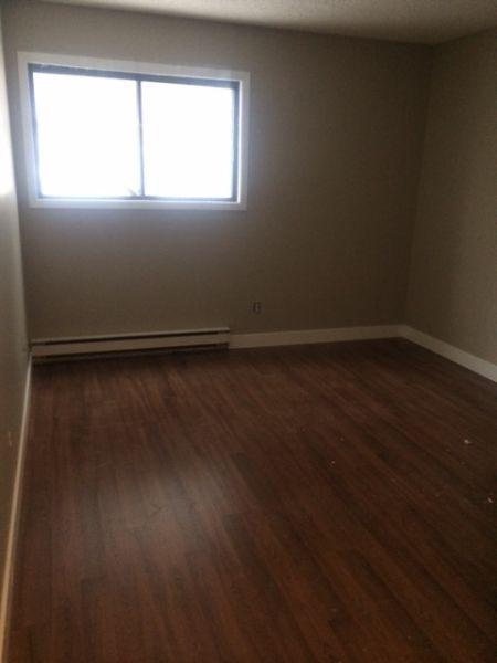 Newly Renovated 2 Bdrm Apartment for Rent