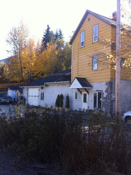 Downtown Commercial space/Three bedroom Heritage