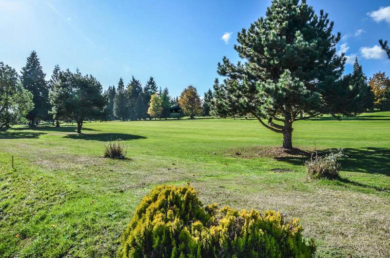 Rancher on  Golf Course