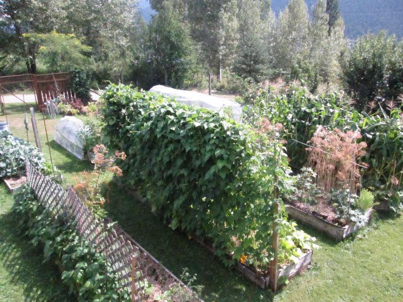 Permaculture Property for Sale