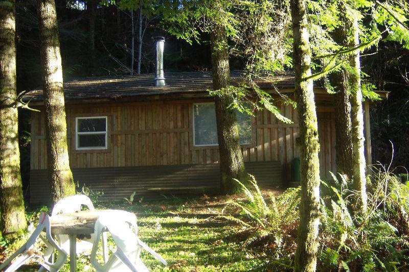Funky cabin on large acreage