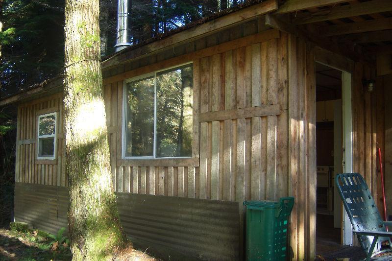 Funky cabin on large acreage