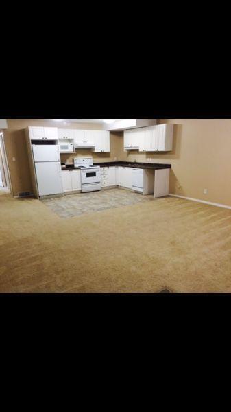 2 Bedroom, 1 Bath Walkout Suite For Rent in !