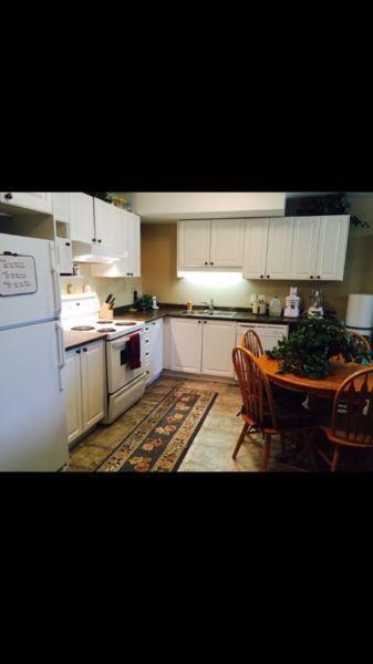 2 Bedroom, 1 Bath Walkout Suite For Rent in !