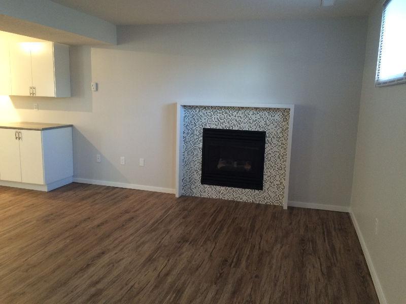Brand New 2 Bedroom Daylight Basement Suite Available For Rent