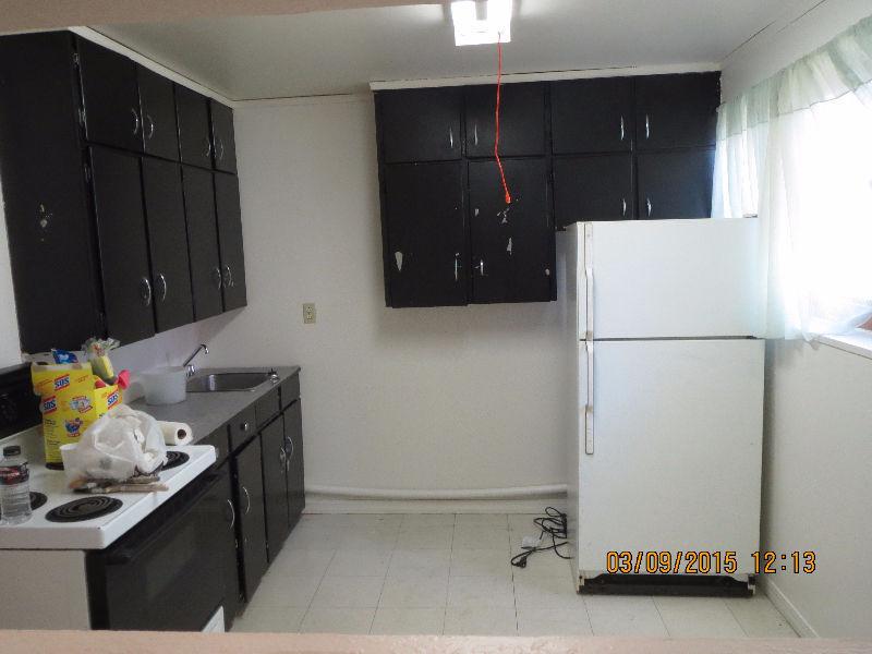 Large 2BR basement suite in S Fort George