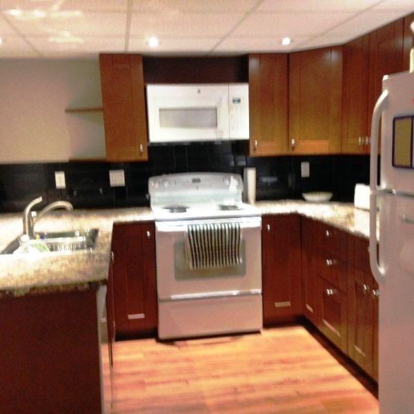 PROFESSIONALLY RENOVATED NEW 1 BDRM SUITE DOWNTOWN/ CRESCENTS