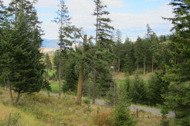 Okanagan Golf Resort - View Lot in an Excellent Location