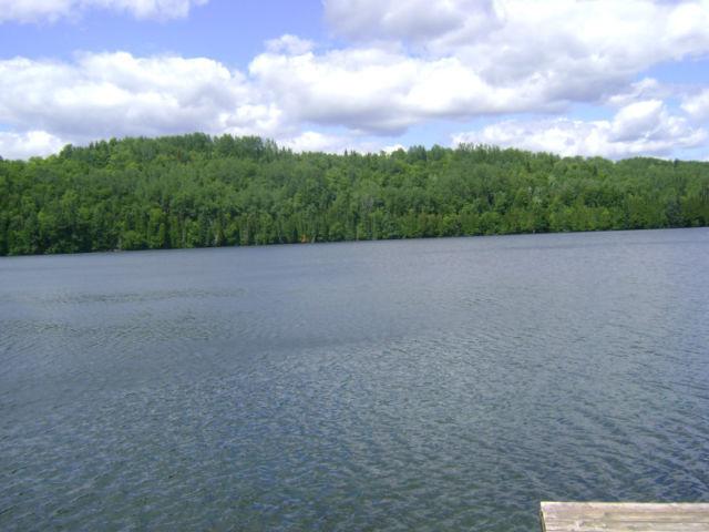 300 ACRES ZONED RÉSIDENTIAL AND RESORT AROUND THE LAKE NEIL