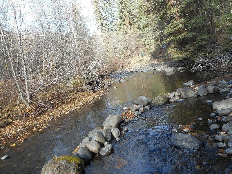 Placer gold claim on Tranquille river ()