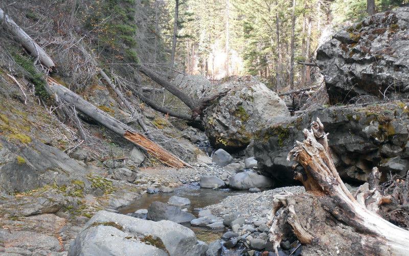 Placer claim on Blakeburn Creek in the Tulameen