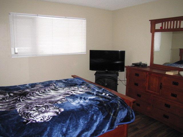 large cozy room available april 1st
