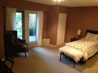 Spacious, centrally located basement suite available May 1