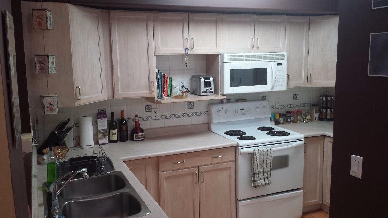 2 bedroom, 2 bathroom apartment with roommate overlooking the OC