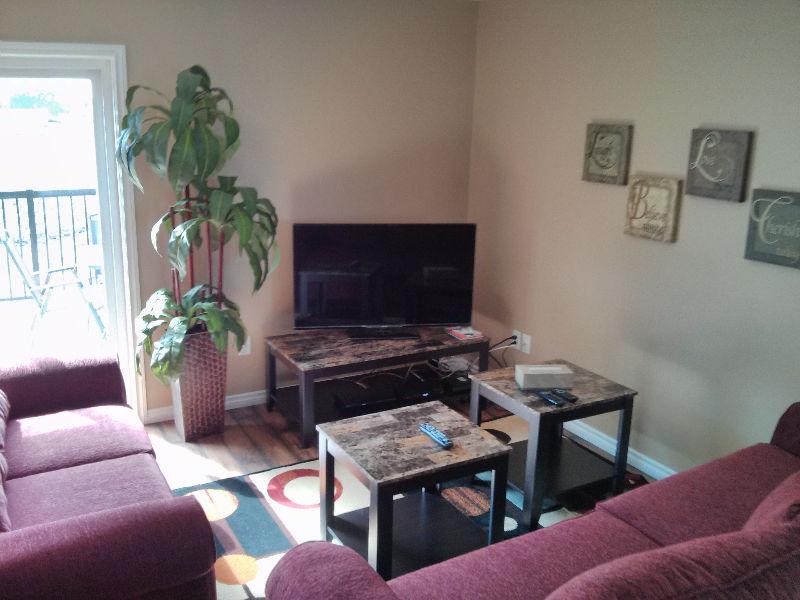 Executive 3 Bedroom/2 1/2 bathroom Fully Furnished Home